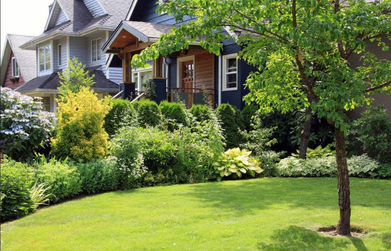 Why Should you Hire a Ground Maintenance Company for your Lawn? The Importance and Benefits